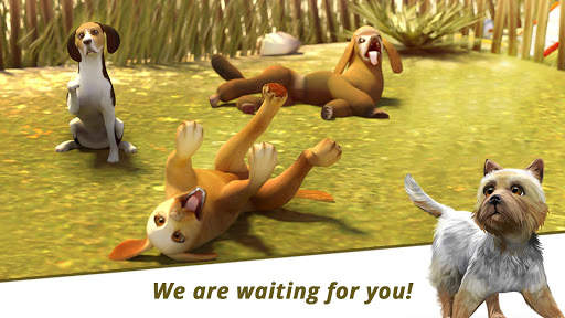 Dog Hotel – Play with dogs and manage the kennels 3 تصوير الشاشة