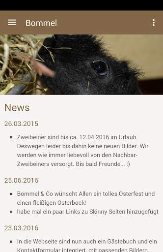 Bommel & Co screenshot 1