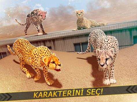 Leoparlar karşı Aslanlar - Vahşi Savan Yarış screenshot 6