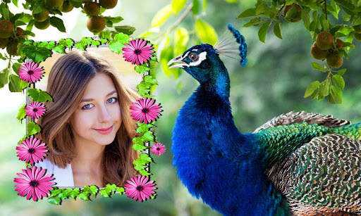 Peacock Photo Frames screenshot 3