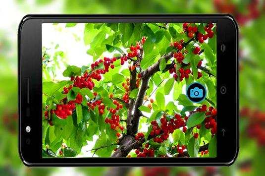 Sweet Selfie HD-Camera For HTC 3 تصوير الشاشة