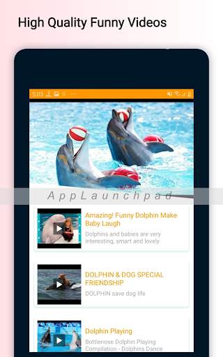 Funny Video Clips screenshot 11