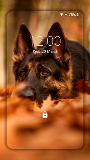 German Shepherd Wallpapers  (backgrounds & themes) screenshot 4