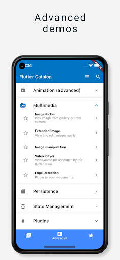 Flutter Catalog screenshot 2