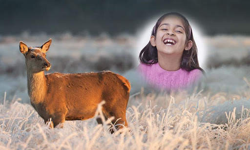 Wild Animal Photo Frames HD screenshot 7