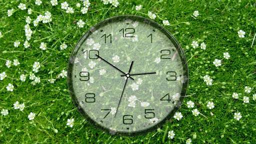 Battery Saving Analog Clocks Live Wallpaper Pro screenshot 5