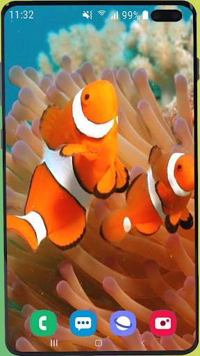 Fish Wallpaper HD screenshot 8