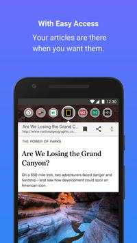 Flip Browser screenshot 2