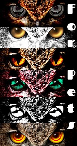 FoxEyes - Change Eye Color screenshot 12