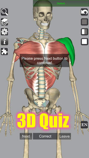 3D Bones and Organs (Anatomy) screenshot 8