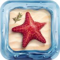3D Aquarium Live Wallpaper Pro