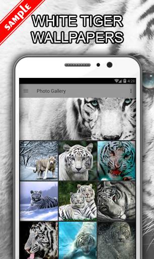 White Tiger Wallpapers screenshot 1