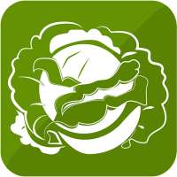 Cabbage Recipes
