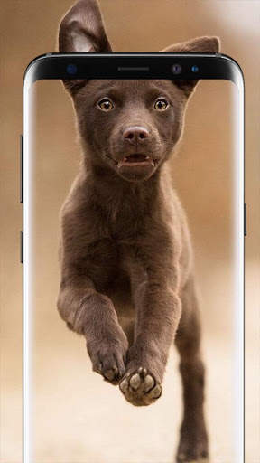 Dog Wallpapers Live HD screenshot 3