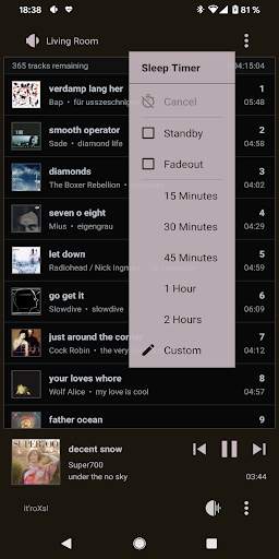 it'roXs! - eXtends your Roon music player screenshot 4