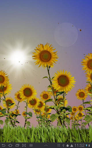 Sunflowers Free Live Wallaper screenshot 3