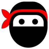 The Last Ninja 1.1