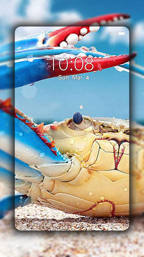 خلفيات البحر :  خلفيات الشاطئ روعة screenshot 8