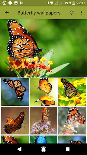  600 Android Animal Wallpapers screenshot 3