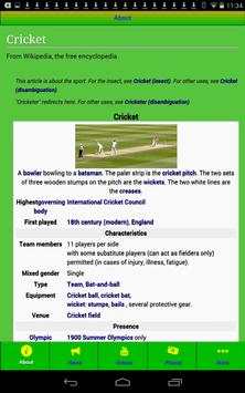 International Cricket screenshot 2