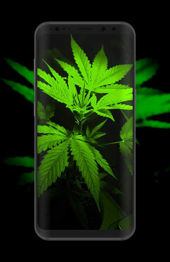 Weed Wallpaper screenshot 1