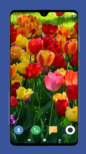 Beautiful Spring Wallpaper  4K screenshot 9