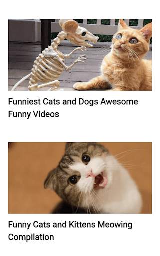 Funny Cat Best Videos स्क्रीनशॉट 7