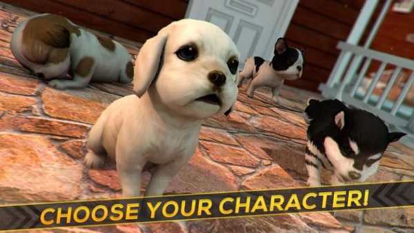 Puppies! Dogs and Cats Game screenshot 9