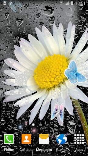 Daisies Flowers Live Wallpaper screenshot 4