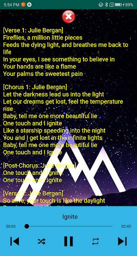 Alan Walker Song plus Lyrics screenshot 3