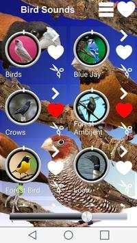 Birds Sounds screenshot 2