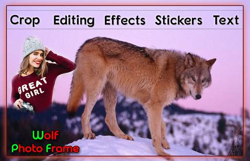 Wolf Photo Frames screenshot 2