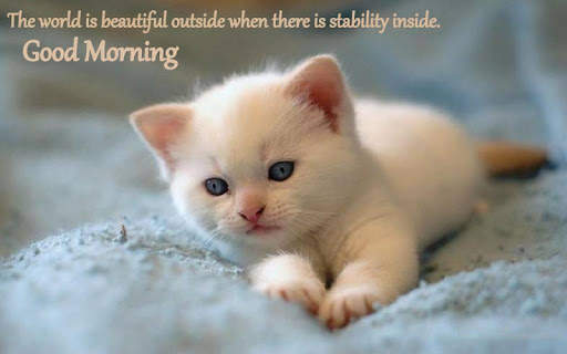 Good Morning Images with Love Quotes - GM Status screenshot 6