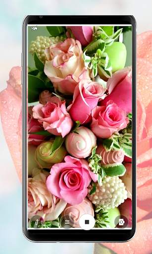 Rose Mobile Wallpapers screenshot 15