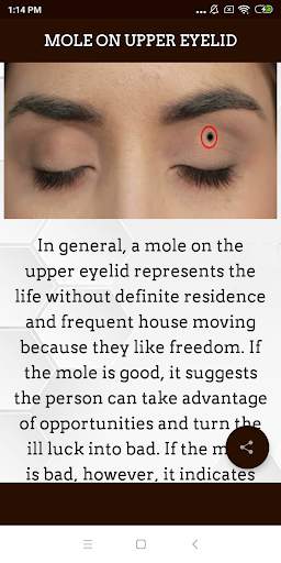 Meaning of Moles screenshot 6
