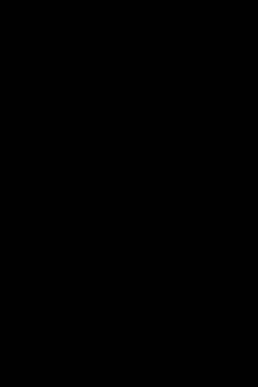 Launcher plug-in screenshot 1
