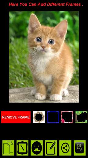 Best Photo Editor : Photoz screenshot 3