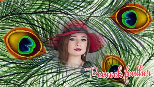 Peacock Photo Frames screenshot 3