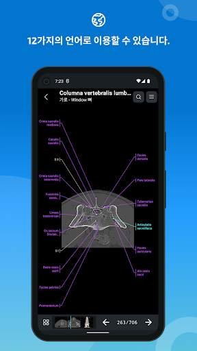 vet-Anatomy screenshot 7