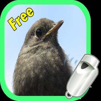 Whistle for Birds screenshot 1
