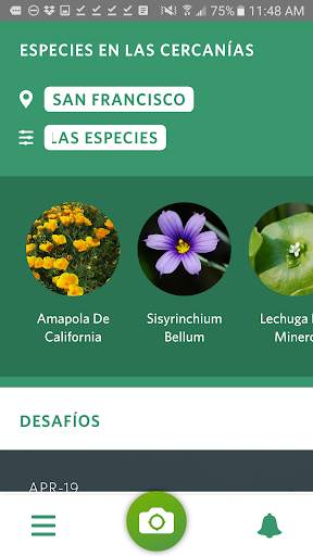 Seek, por iNaturalist screenshot 4