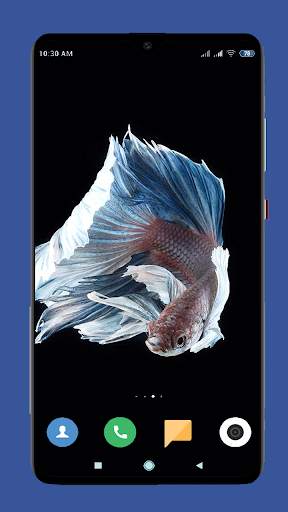 Betta Fish Wallpaper HD screenshot 11