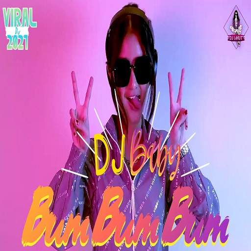 DJ Baby BumBumBum Remix Terbaru 2021 1.0
