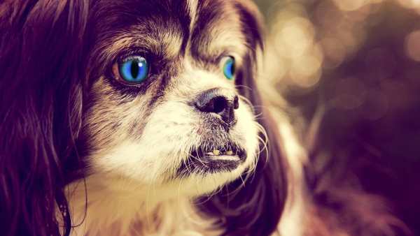 Eye Lens Photo Editor screenshot 4