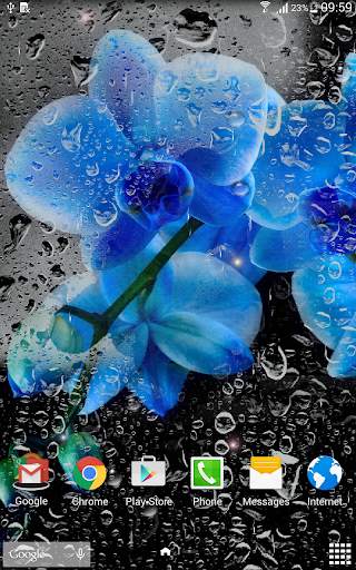 Rainy Flowers Live Wallpaper screenshot 7
