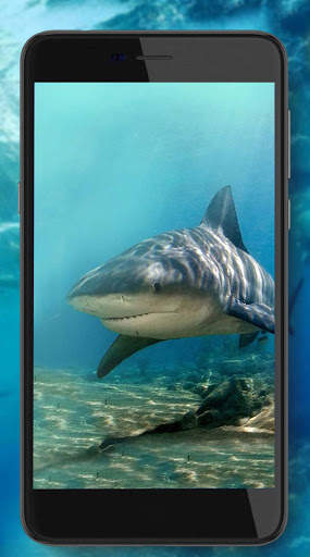 Shark Terrible Live Wallpaper screenshot 3
