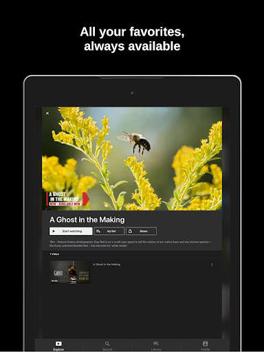 INSIGHT TV screenshot 8