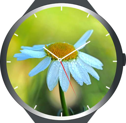Flowers Watch Faces screenshot 7