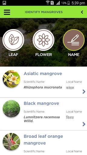 Mangroves screenshot 2