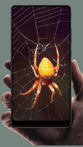 Spider Wallpaper screenshot 14